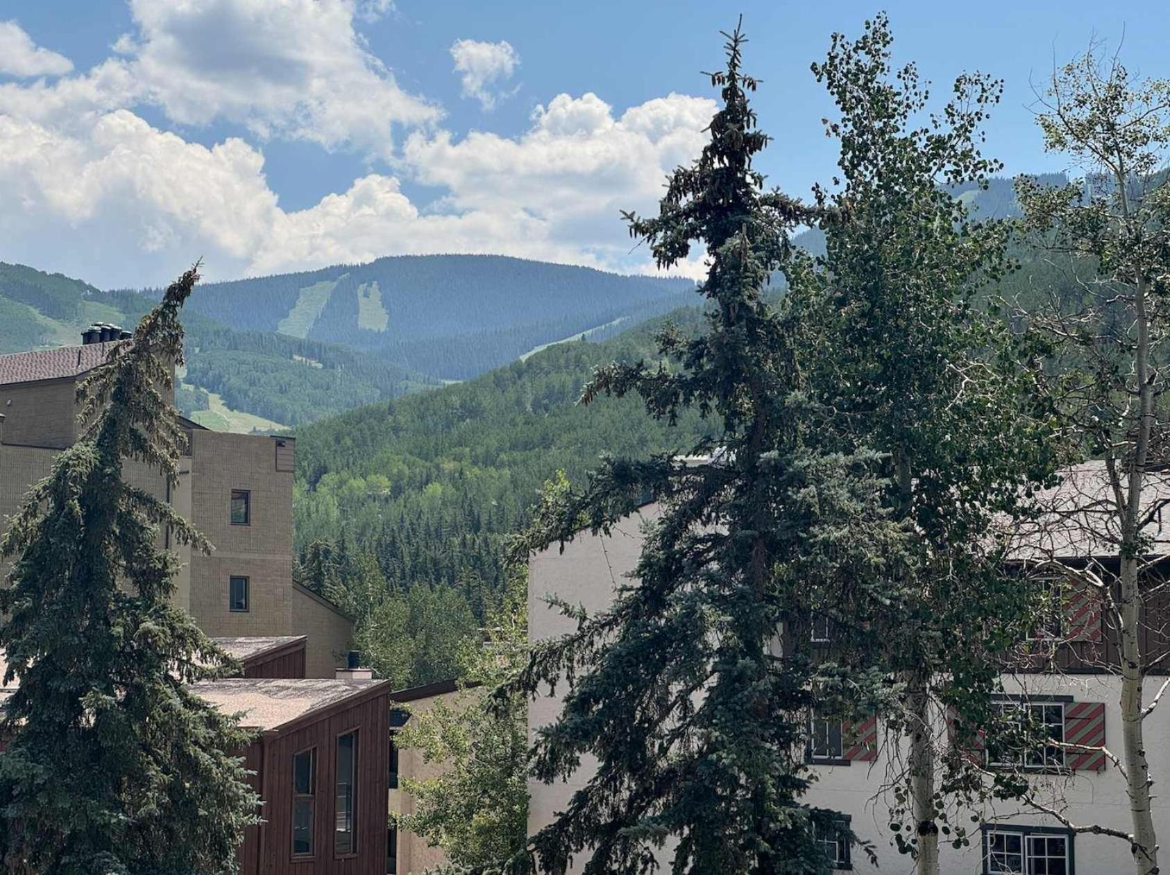 Best Location In The Heart Of Lions Head, Ski Lockers, Jacuzzi And Pool Vail Exterior foto